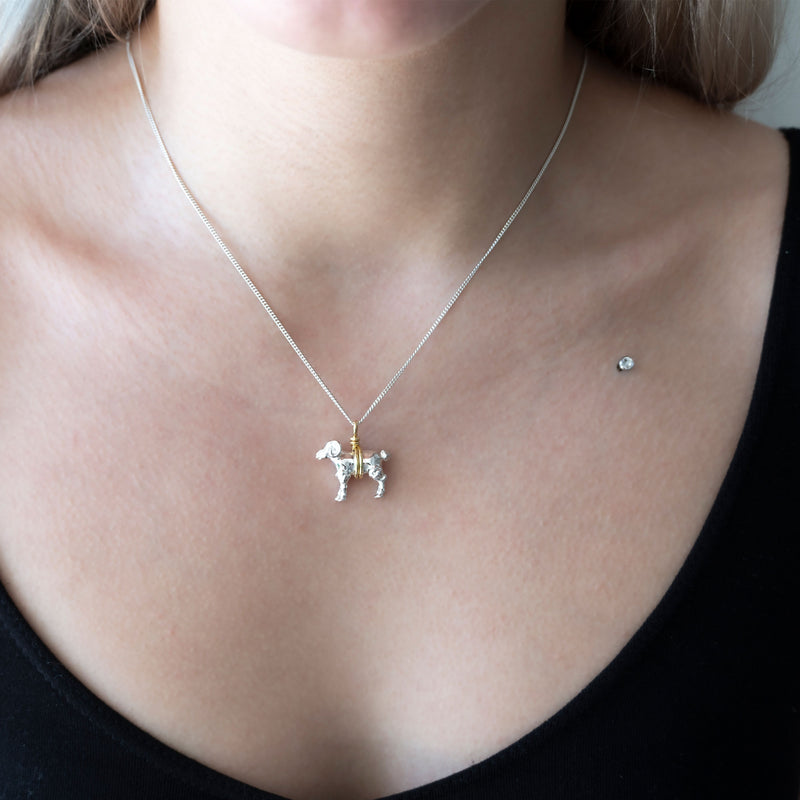 Aries Necklace | Sterling Silver with Gold Plate