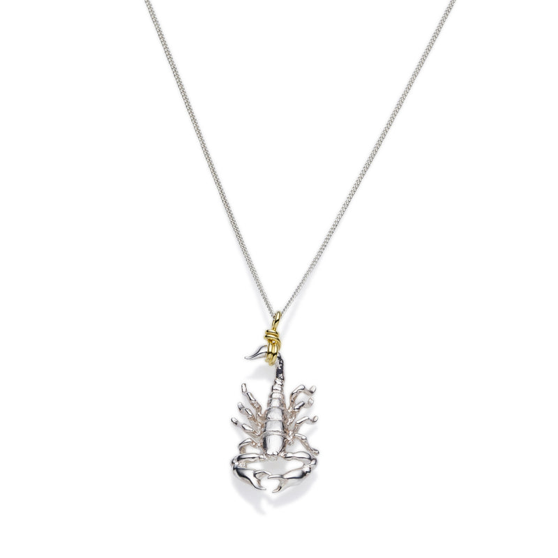 Scorpio Necklace | Sterling Silver with Gold Plate