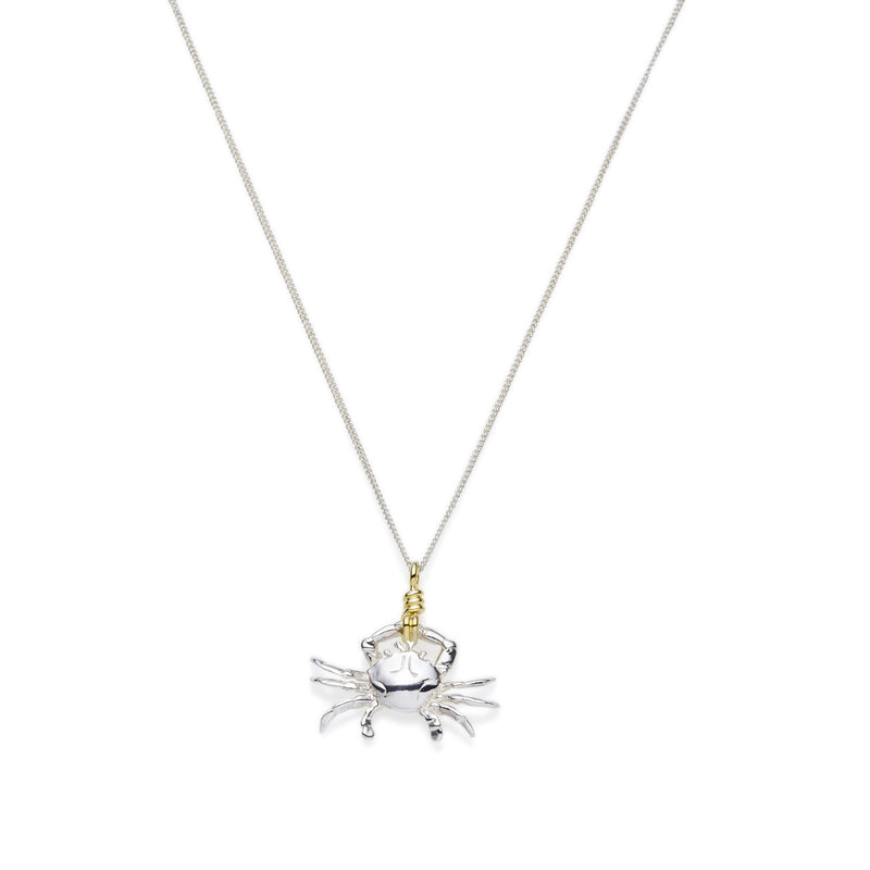 Cancer Necklace | Sterling Silver with Gold Plate