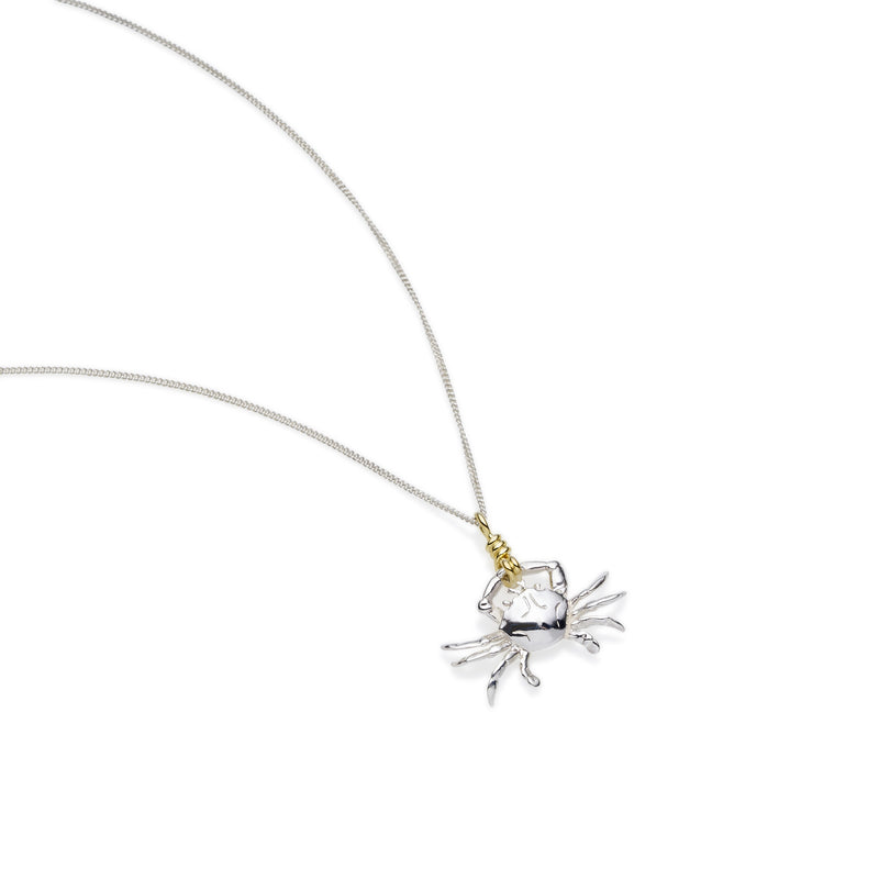 Cancer Necklace | Sterling Silver with Gold Plate